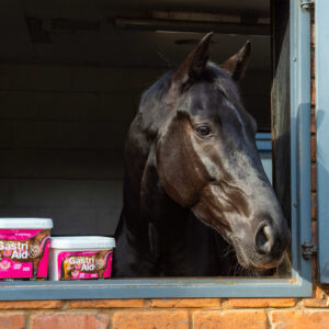 NAF Complementary Feed - Gastri Aid