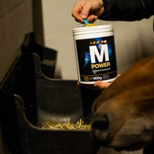 NAF - M Power Complementary Food