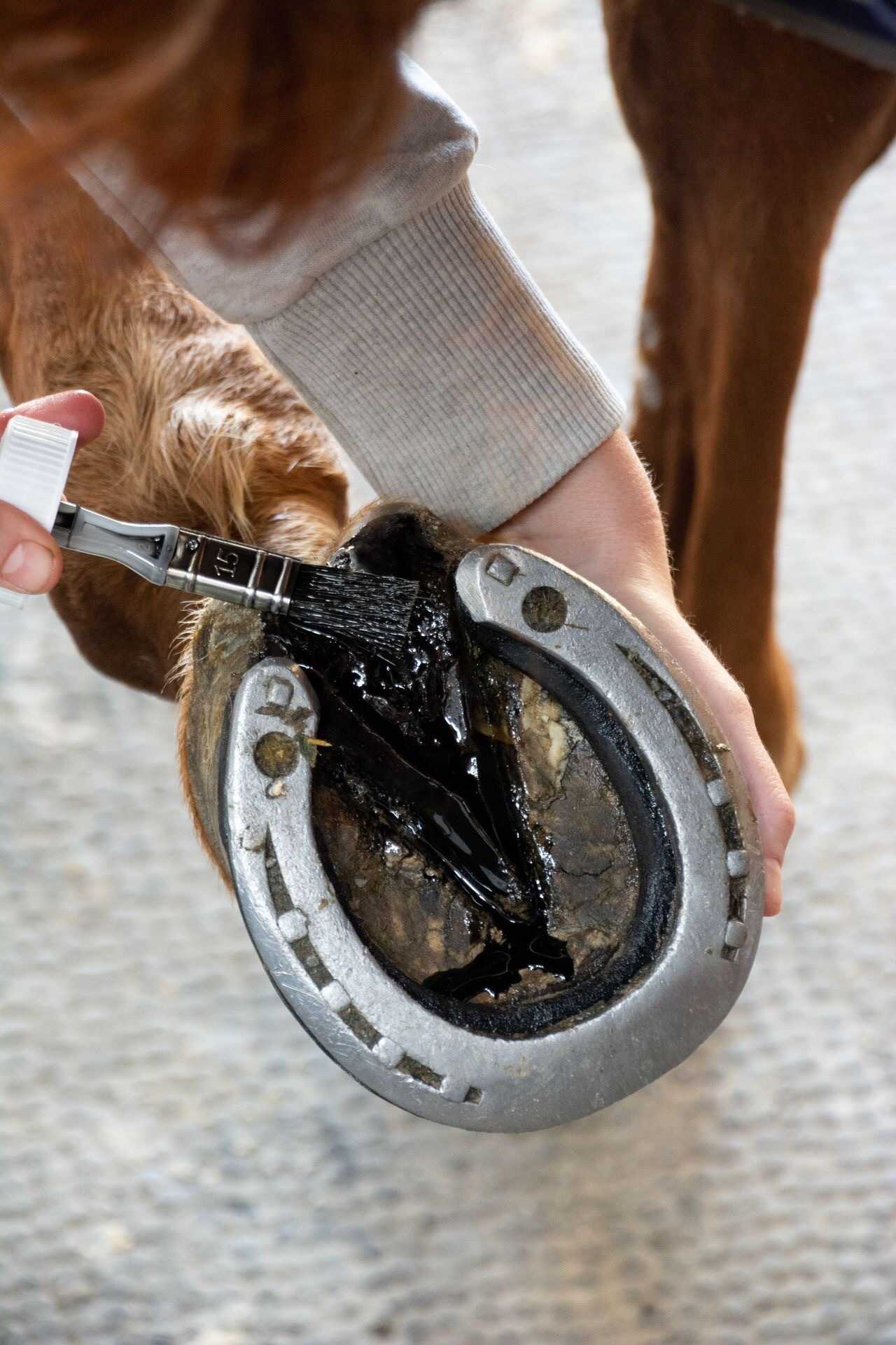 ALODIS CARE Oil - Hoof frog cleaner - Image 2