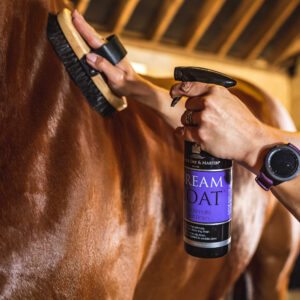 CARR & DAY & MARTIN - Dreamcoat Shining Spray