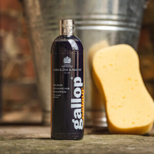 CARR & DAY & MARTIN Shampoo Gallop® Schwartz