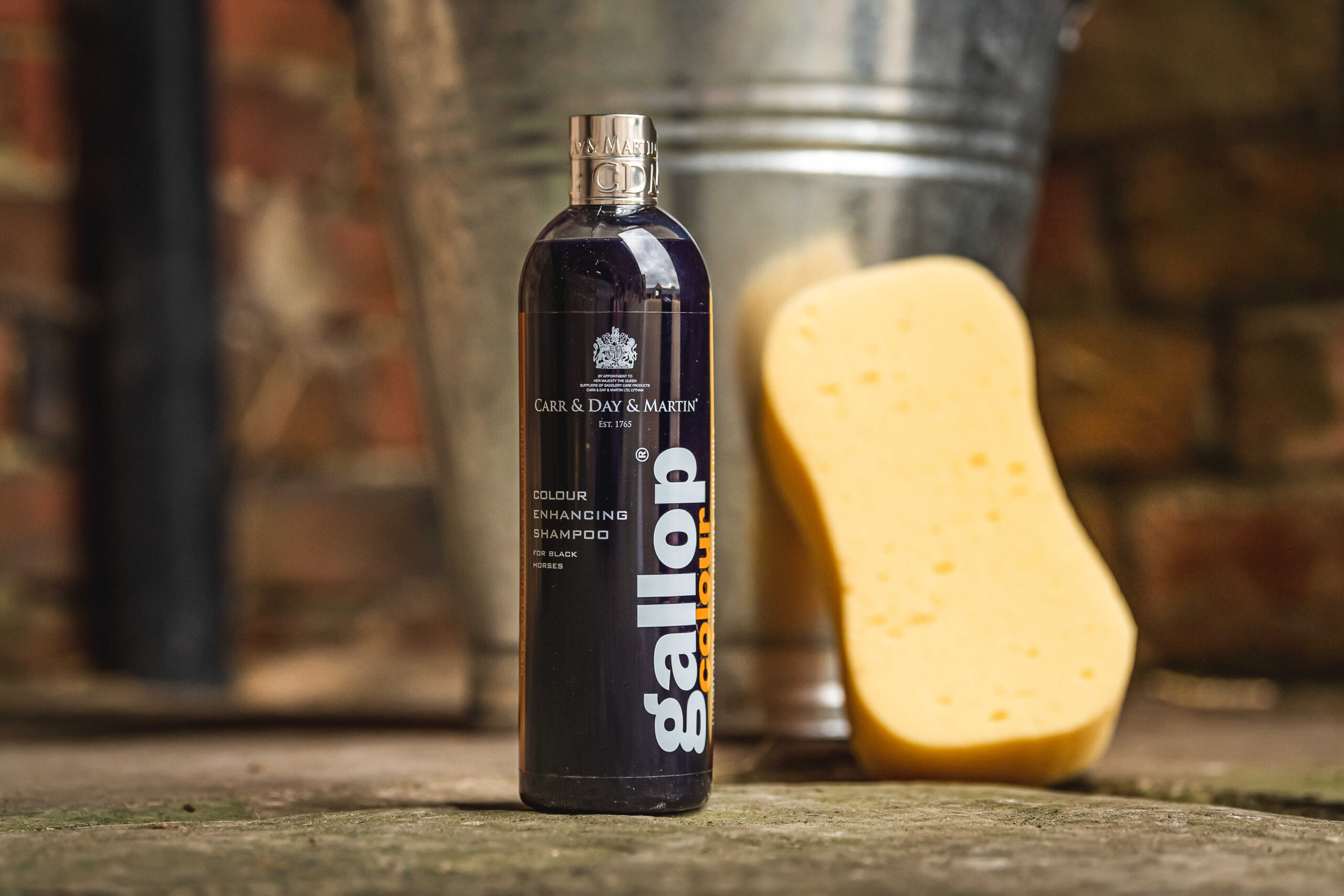 CARR & DAY & MARTIN Shampoo Gallop® Schwartz