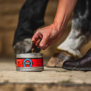 CARR & DAY & MARTIN - Cornucrescine - Hoof Ointment