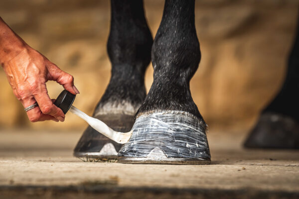 CARR & DAY & MARTIN - Daily Hoof Moisturiser Cornucrescine - Hoof Oil - Image 5