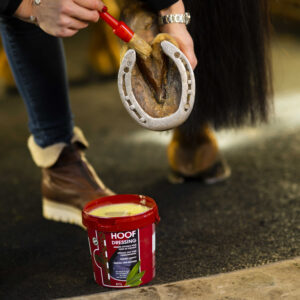 KEVIN BACON'S Hoof Grease - Winter Hoof Dressing