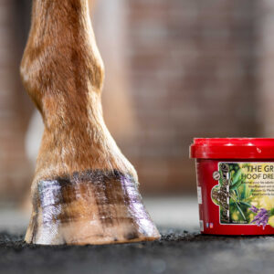 KEVIN BACON'S Hoof Balm - Hoof Dressing The Green