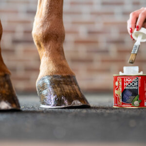 KEVIN BACON'S Hoof Oil - Liquid Hoof Dressing
