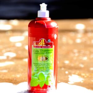 Shampoing KEVIN BACON'S - Lucy Diamonds