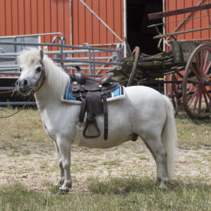 WESTRIDE Western saddle - Topeka