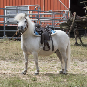 WESTRIDE Navajo saddle blanket Quilted