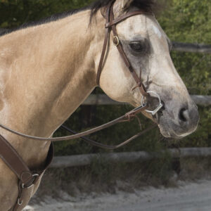 WESTRIDE Bridle by Franck Perret – Colorado