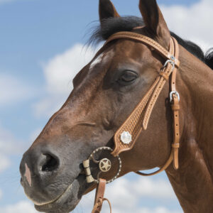 WESTRIDE Bridle by Franck Perret - Aurora