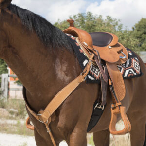 WESTRIDE hunting collar by Franck Perret - Billy