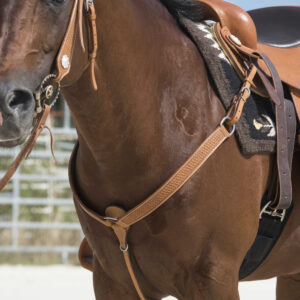 WESTRIDE hunting collar by Franck Perret - Aurora