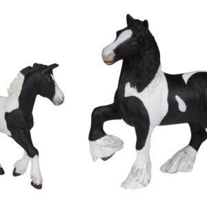 PAPO - Black Irish Cob Foal