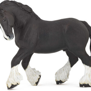 PAPO - Black Shire Stallion