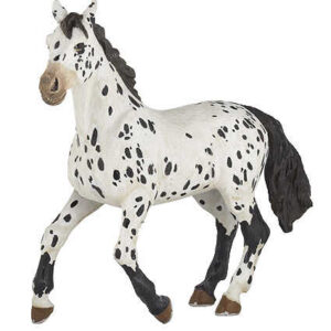 PAPO - Appaloosa Black