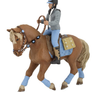 PAPO - Young Rider's Horse