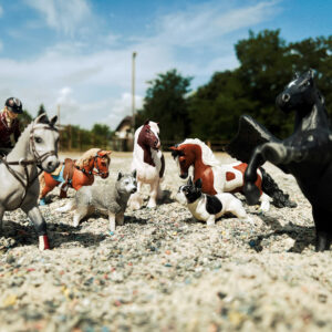 PAPO - competition horse with rider