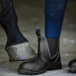 NORTON - Dry - Sticks