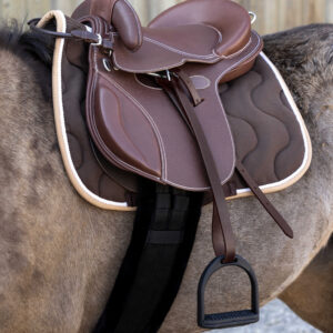 GUY CANTIN Sattel - Evolution Educative