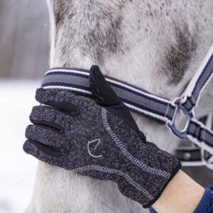 Gloves EQUITHÈME -Warm- (XXL)