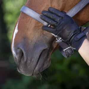EQUITHÈME - Soft leather - Riding gloves