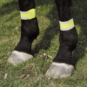 NORTON yellow bandages