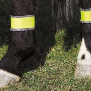 NORTON Yellow Hind Leg Bandages