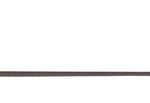 WHIP & GO driving and training whip