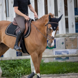 PRO SERIES "Aubin" T-Shirt