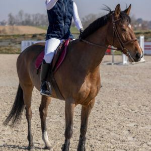 Gilet PRO SERIES -Piaffer-