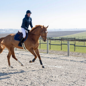 PRO SERIES Quilted Jacket - Diagonal