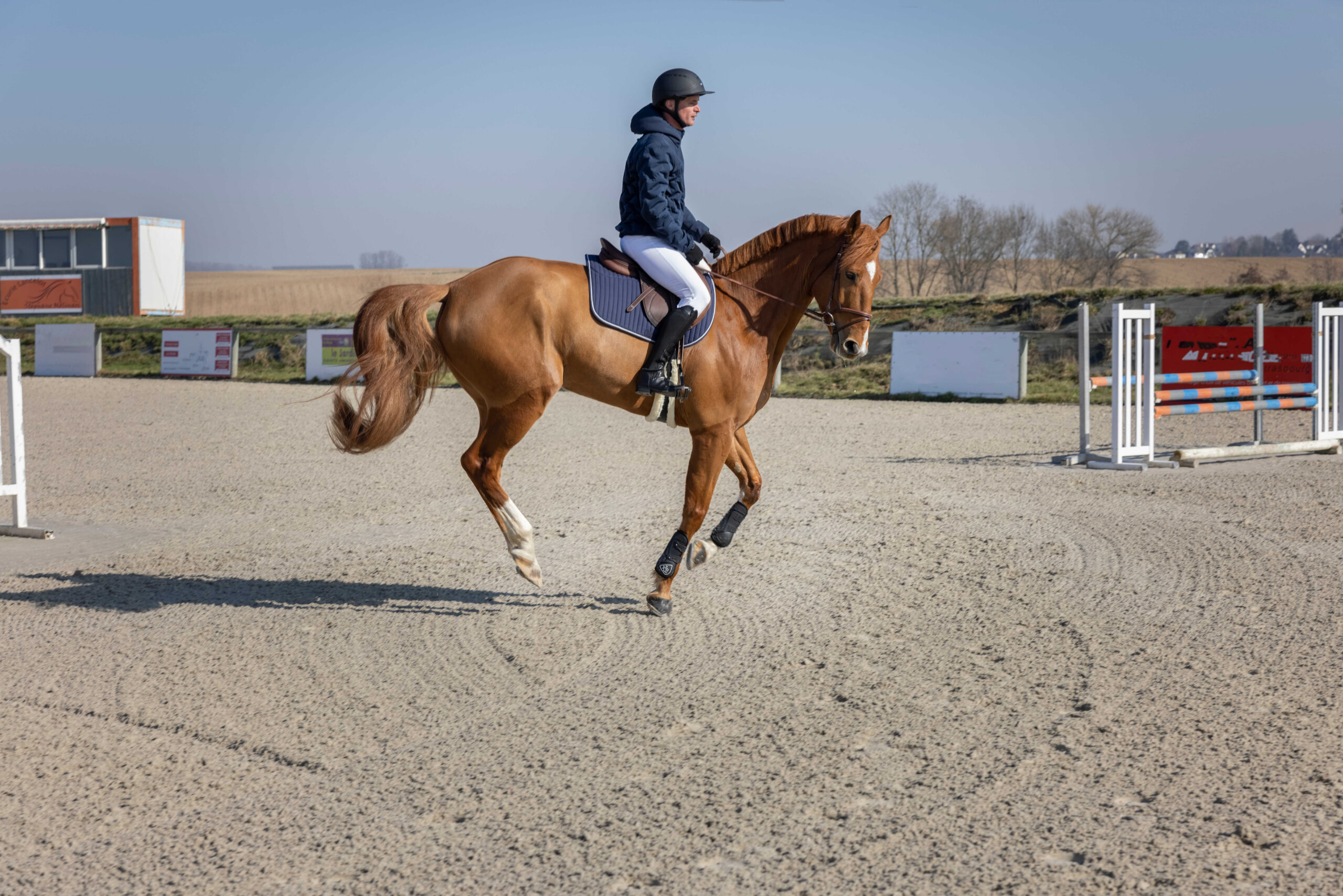 PRO SERIES Quilted Jacket - Diagonal - Image 13