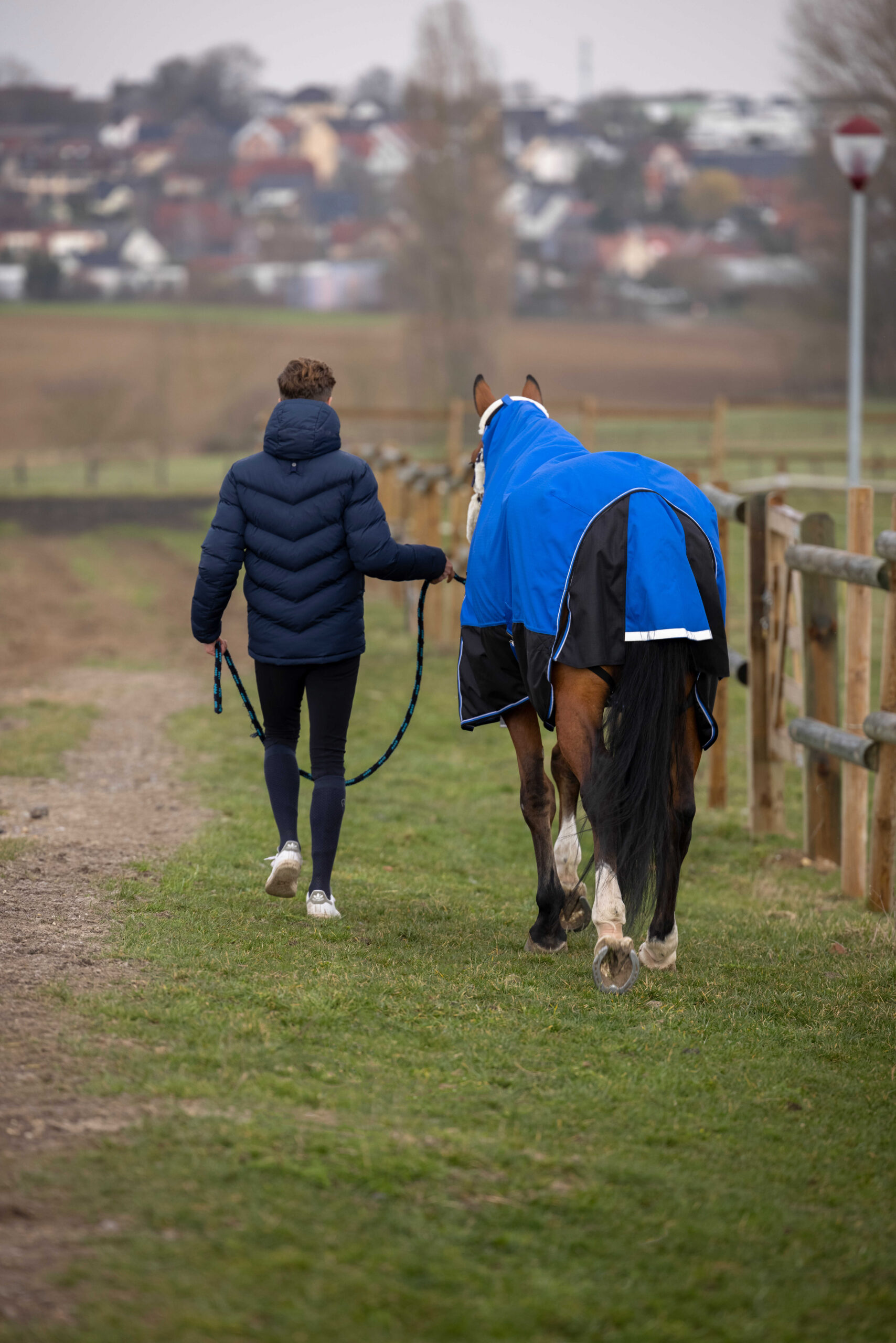 EQUITHÈME quilted jacket -Michael- - Image 5