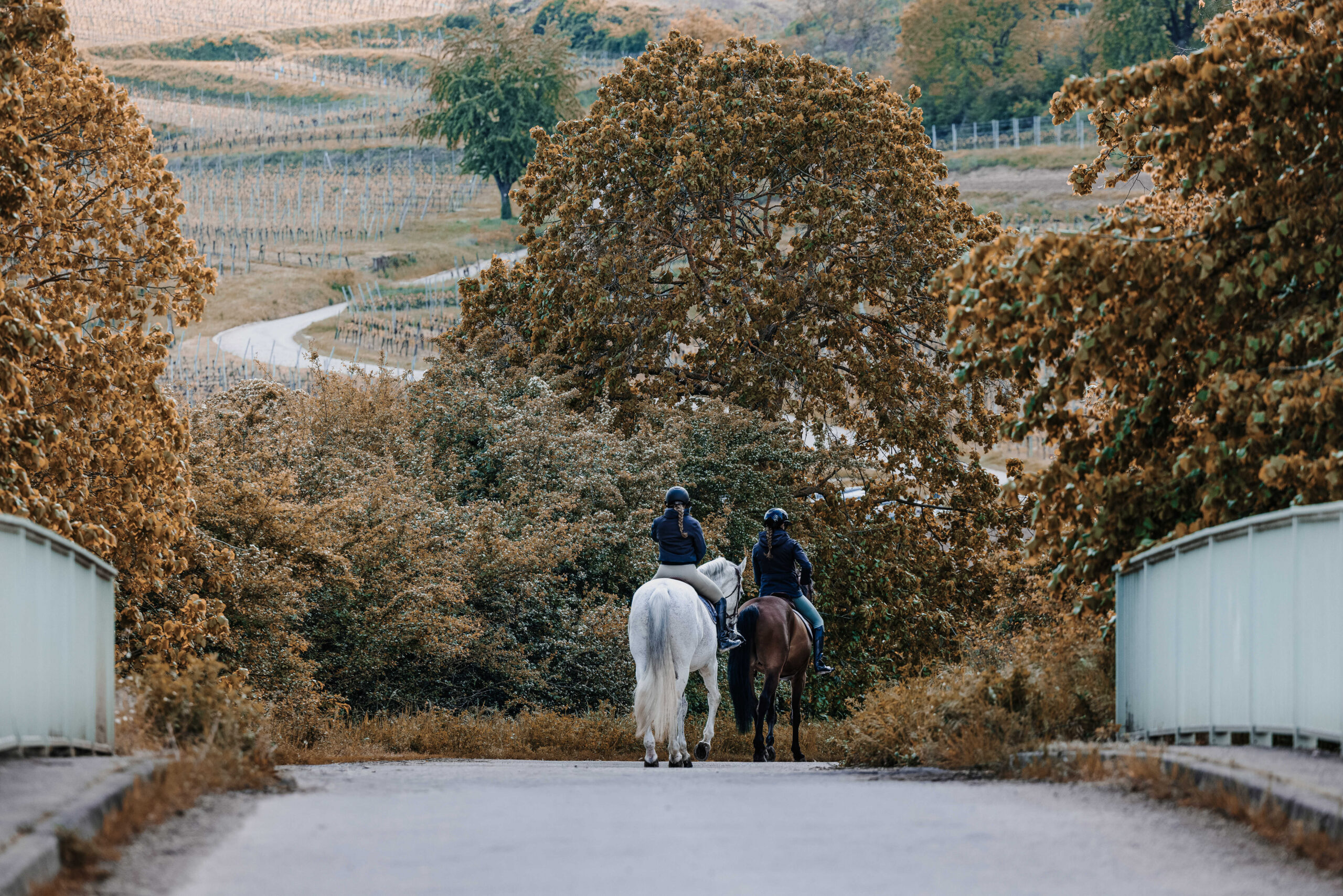 EQUITHÈME Originals - Maguy - Parka - Image 3