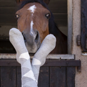 EQUITHÈME - Girly - Socks