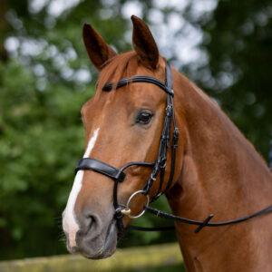 Horze Chio Bridle