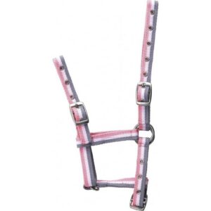 NORTON Adjustable Foal Halter