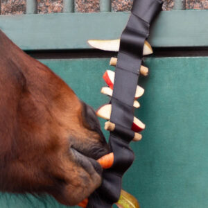 HEICA Tuck'n'Treat – Engaging Feeding Enrichment for Horses