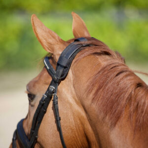 Neck protection BACK ON TRACK® with scratch