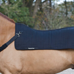Chest strap for back warmer BACK ON TRACK®