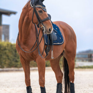 DressurSaddle pad BACK ON TRACK® - Night Collection
