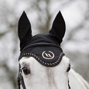 Fly veil BACK ON TRACK®