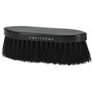 EQUITHÈME - Studies - Dandy brush