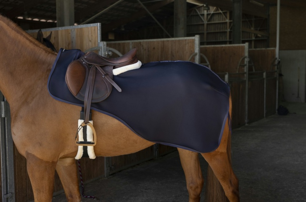 EQUITHÈME Softshell training rug TEDDY