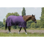 EQUITHÈME - TYREX Aisance 600D - Turnout Rug
