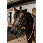 EQUITHÈME UV-Protection Nose Guard - Image 3