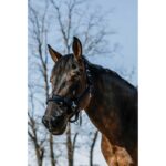 EQUITHÈME UV-Protection Nose Guard