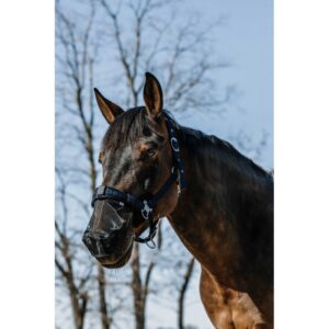 EQUITHÈME UV-Protection Nose Guard